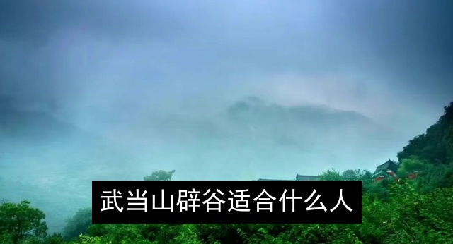 武当山和终南山辟谷哪个好