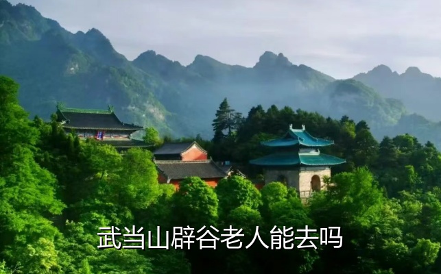 武当山辟谷老人能去吗