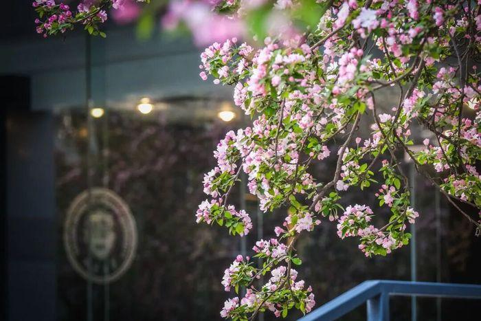 天津大学 | 毛国柱/李远峰 | 节能环境高级研修班 | 天津 | 2026年4月8-10日