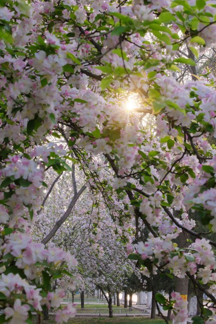 天津大学 | 毛国柱/李远峰 | 节能环境高级研修班 | 天津 | 2026年4月8-10日