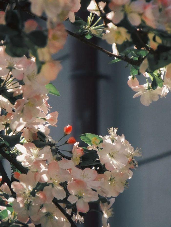 天津大学 | 毛国柱/李远峰 | 节能环境高级研修班 | 天津 | 2026年4月8-10日