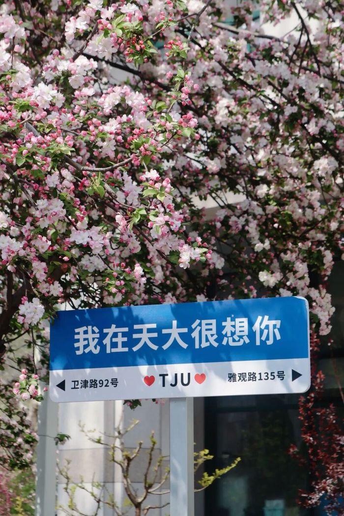 天津大学 | 毛国柱/李远峰 | 节能环境高级研修班 | 天津 | 2026年4月8-10日