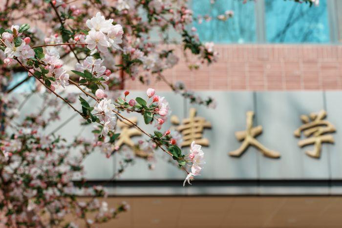 天津大学 | 毛国柱/李远峰 | 节能环境高级研修班 | 天津 | 2026年4月8-10日