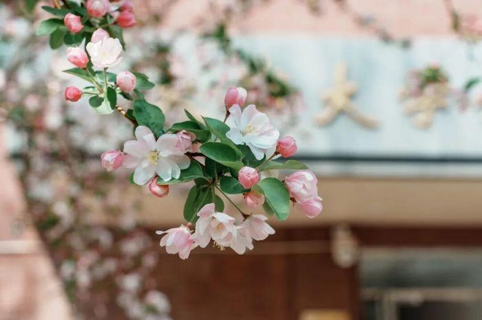 天津大学 | 毛国柱/李远峰 | 节能环境高级研修班 | 天津 | 2026年4月8-10日