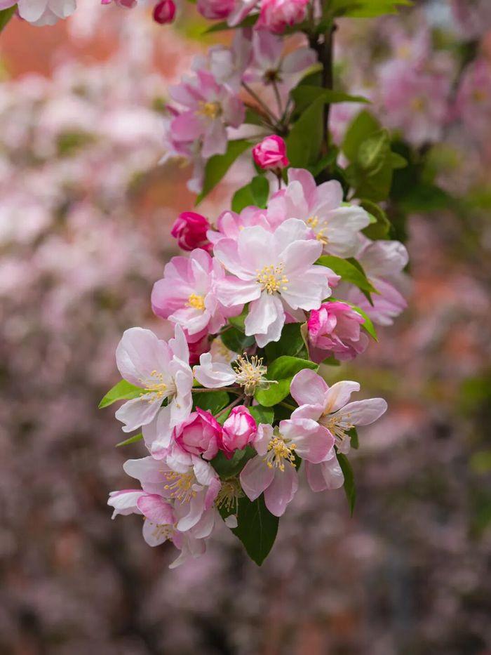 天津大学 | 毛国柱/李远峰 | 节能环境高级研修班 | 天津 | 2026年4月8-10日