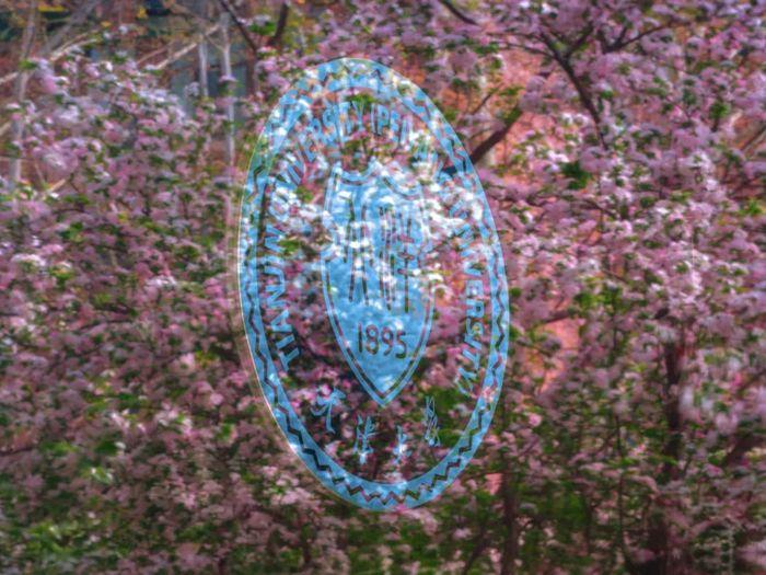 天津大学 | 毛国柱/李远峰 | 节能环境高级研修班 | 天津 | 2026年4月8-10日