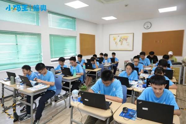 小码王 | 沙利文认证中国少儿AI编程教育开创者