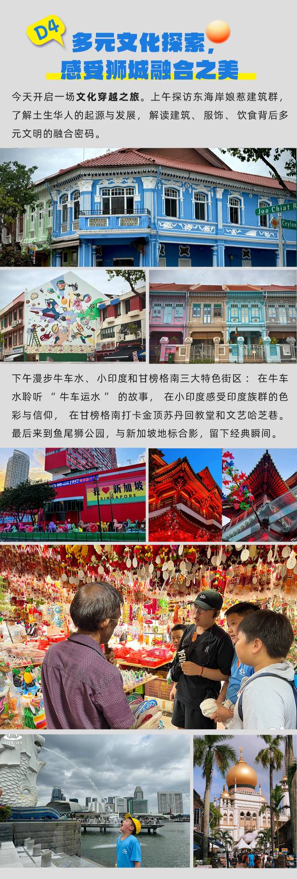 小码王 | 26暑假新加坡科创营 | 南洋理工AI课堂|环球影城