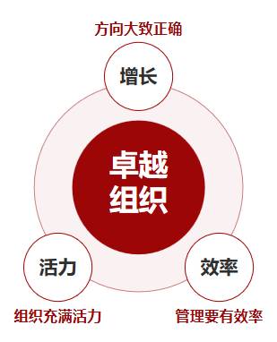 华营管理服务 | 卓越组织实训班9期 | 增长×活力×效率
