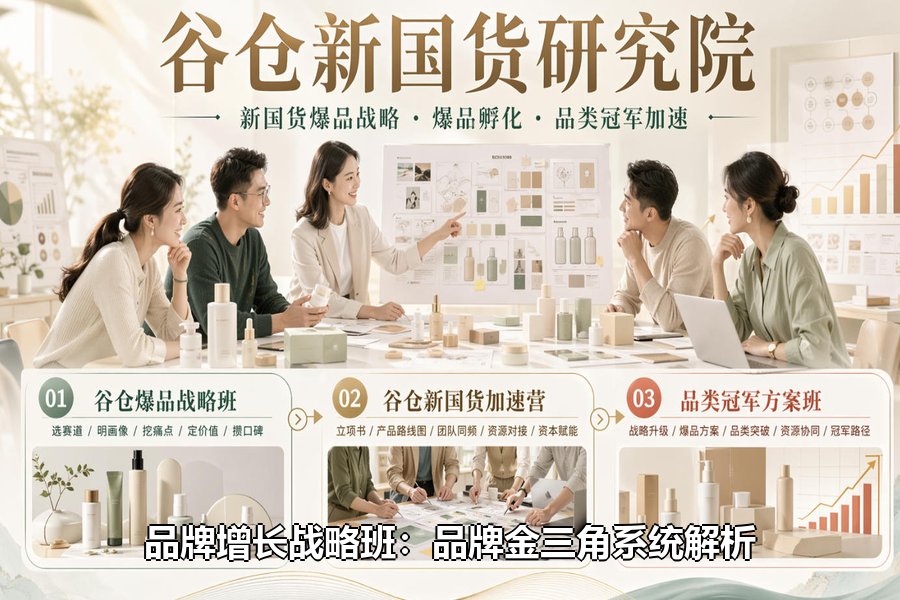 品牌增长战略班：品牌金三角系统解析