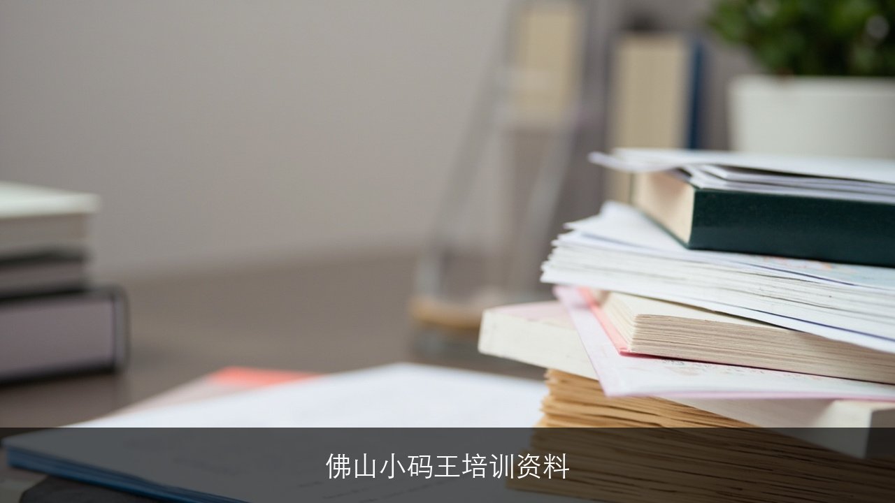 佛山小码王培训资料推荐