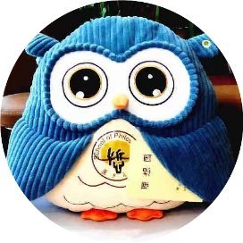 第27届SOPHIA开幕讲座｜王德峰：中西文化与思想命运