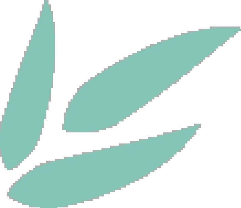 【女性力量高级班】第6期《女性力量高级班》课前课圆满开启！