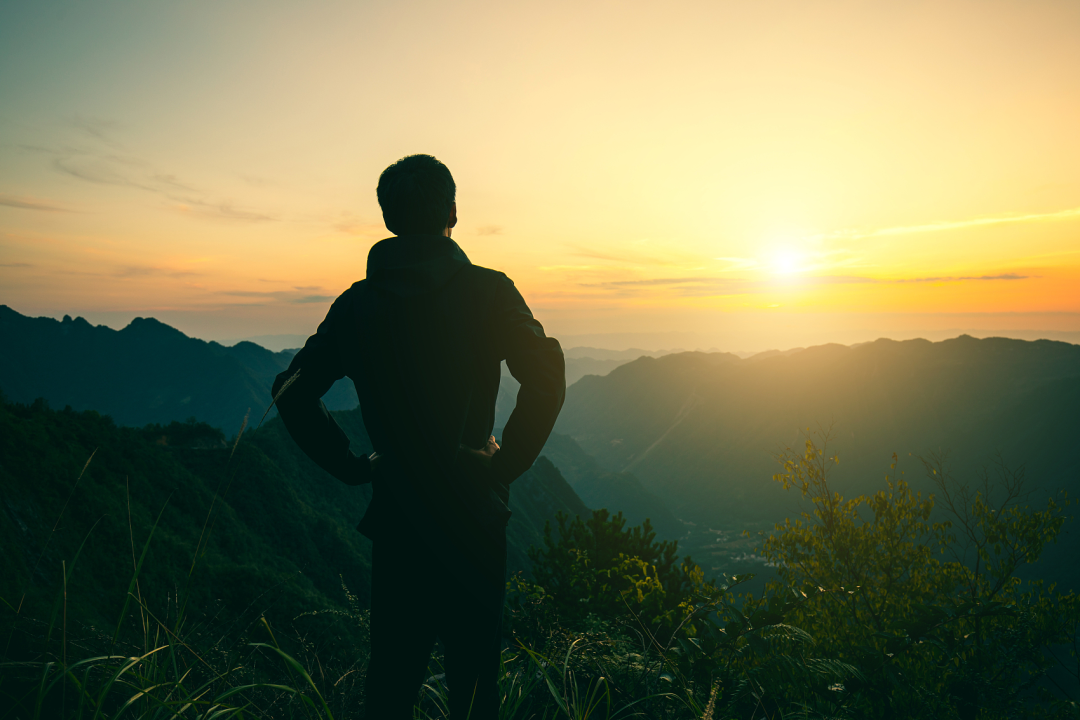 简单心理春季课程seed介绍