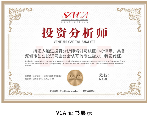 资深投资分析师VCA