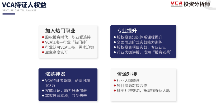 资深投资分析师VCA