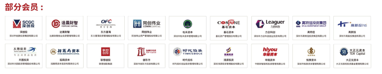 资深投资分析师VCA