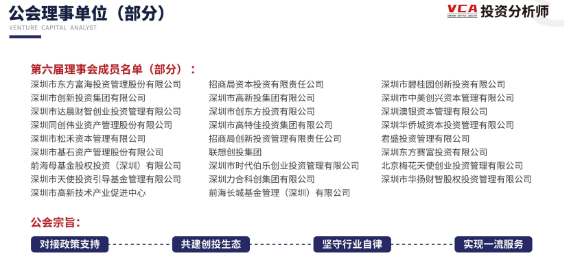 资深投资分析师VCA