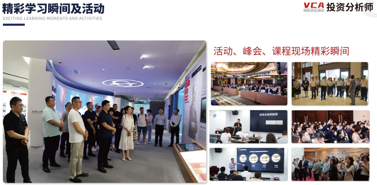 资深投资分析师VCA