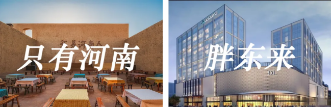 趣游河南|亲子游学