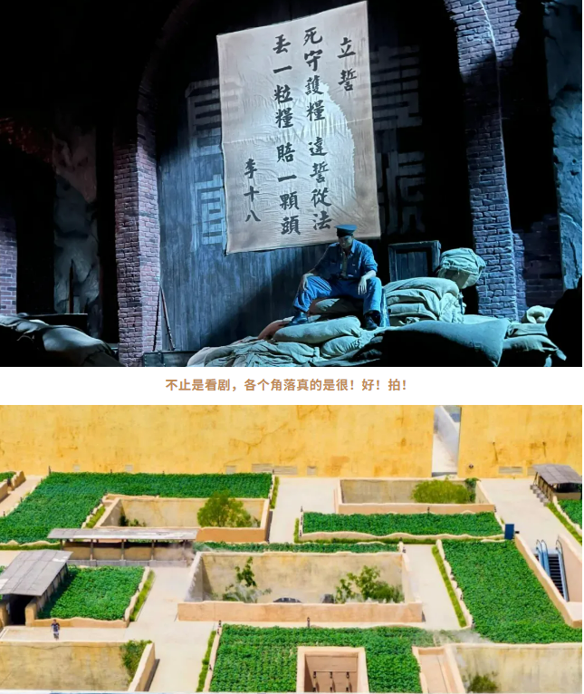 趣游河南|亲子游学