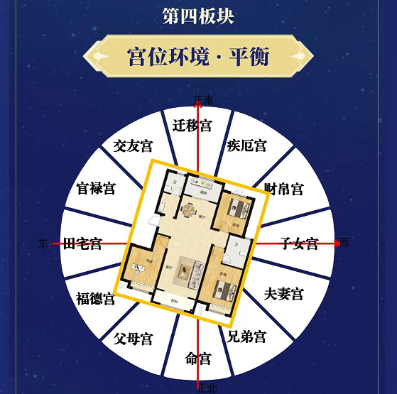 黎荔-紫薇心学