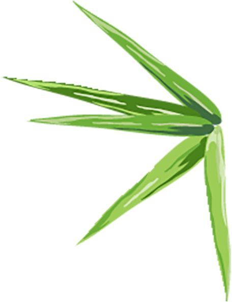心时代父母 | 张兆鹏 | 心理咨询实战班学员分享：用了那笔钱，我换来了新生 | 2026年4月