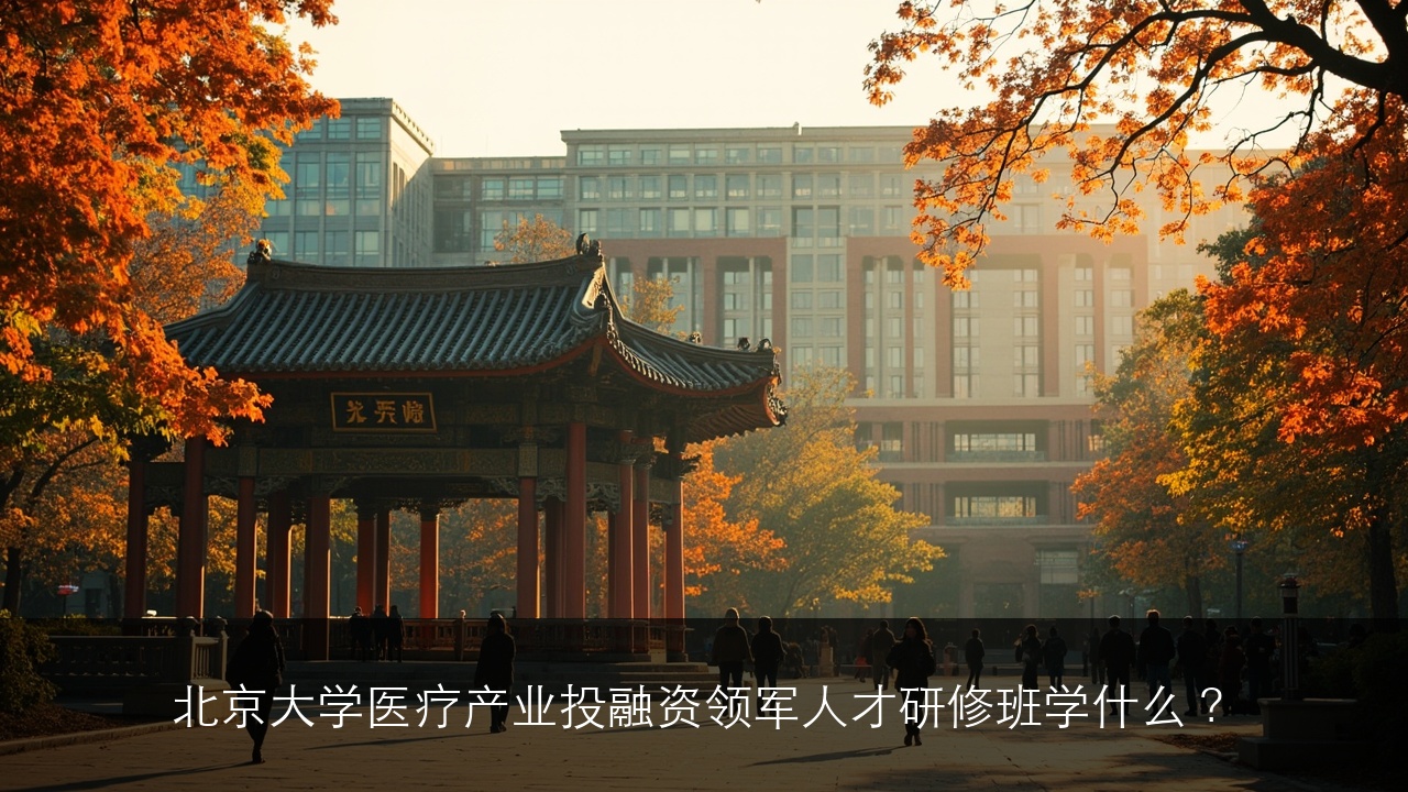 北京大学医疗产业投融资领军人才研修班学什么？四大课程板块深度解读