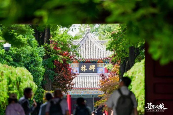 慧悦有道寻龙研学之解码长安第2604期圆满落幕周秦汉唐四篇章黎荔教授带队