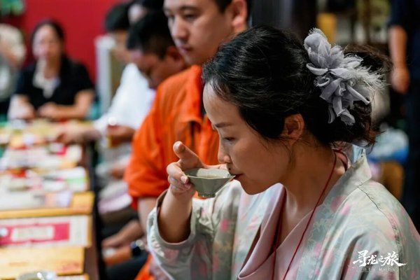 慧悦有道寻龙研学之解码长安第2604期圆满落幕周秦汉唐四篇章黎荔教授带队