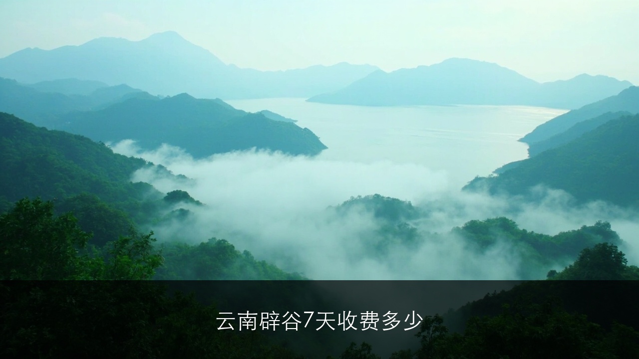 云南辟谷7天收费多少