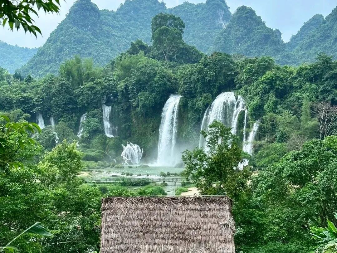 崇左亲子5日:跨国瀑布、白头叶猴与中华白海豚,一次把边境山海生态看个够