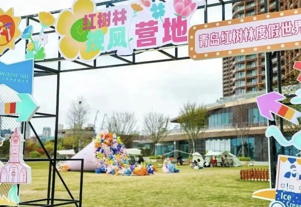 UYoung青少年营地 | 青岛冲浪考证营 | 冲浪 | 6天