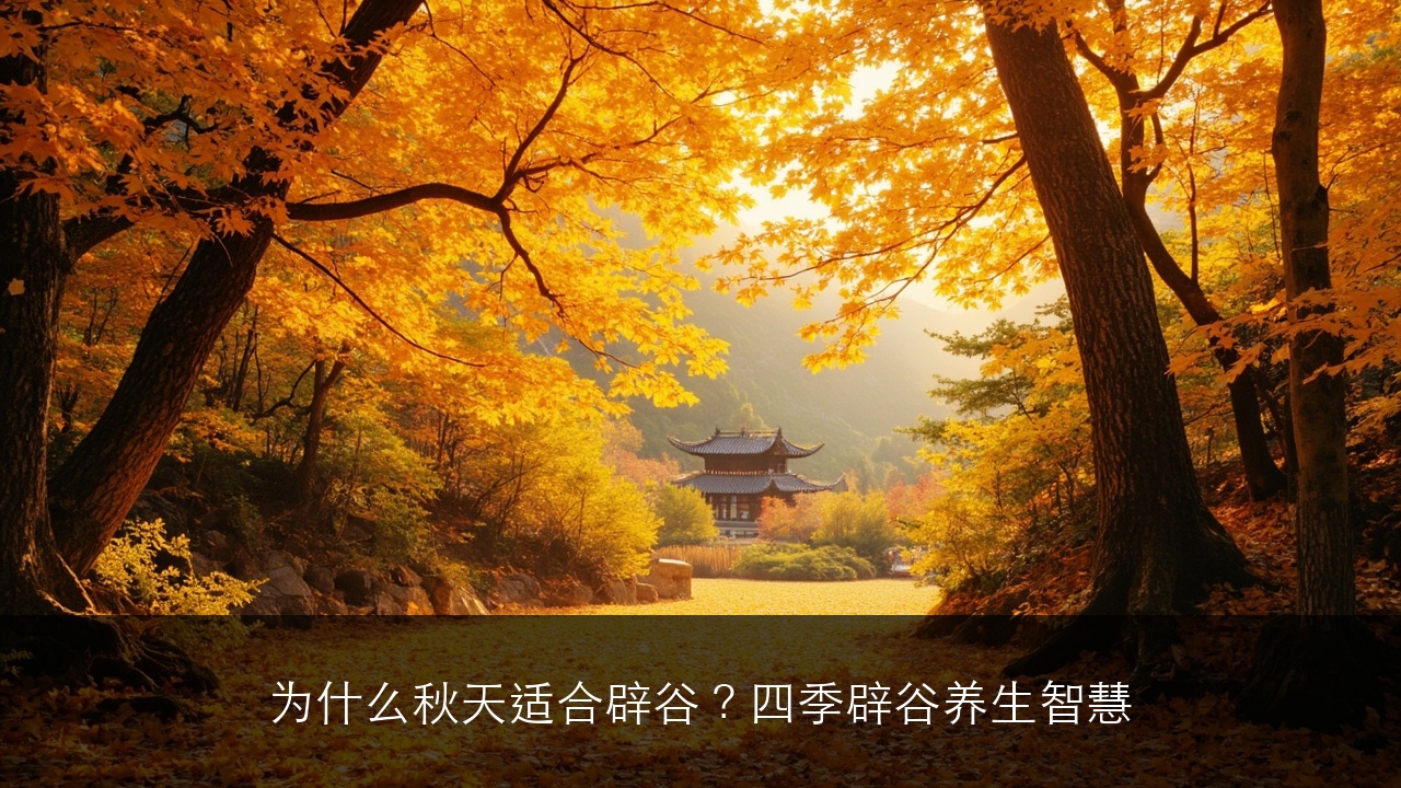 为什么秋天适合辟谷?四季辟谷养生智慧