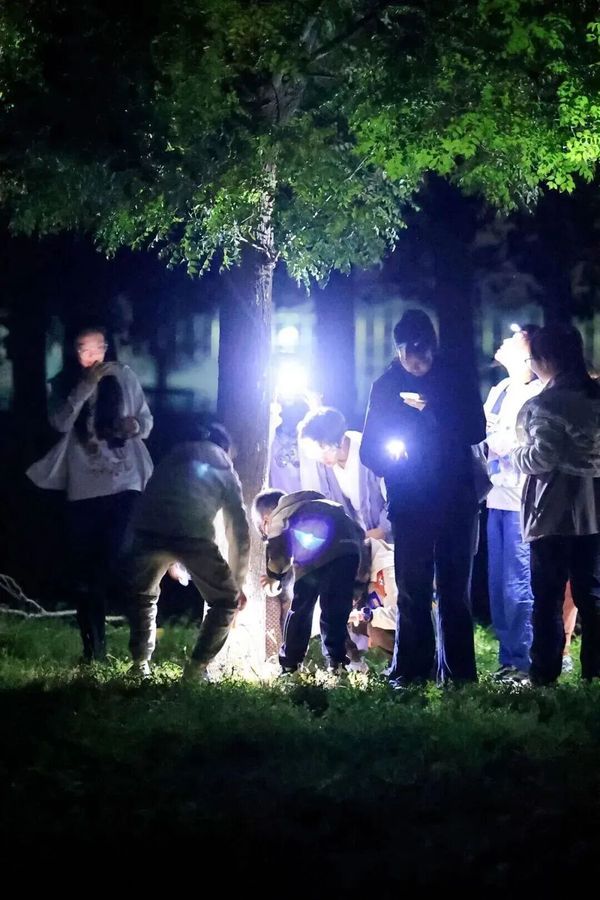 UYoung青少年营地 | 酷玩少年ClubMed奇遇营 | 5天4晚解锁童年野趣