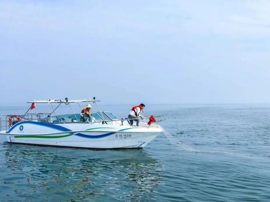 崇左亲子5日:跨国瀑布、白头叶猴与中华白海豚,一次把边境山海生态看个够
