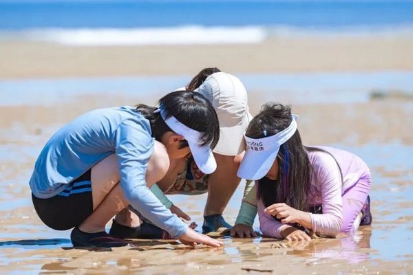 UYoung青少年营地 | 青岛冲浪考证营 | 冲浪 | 6天