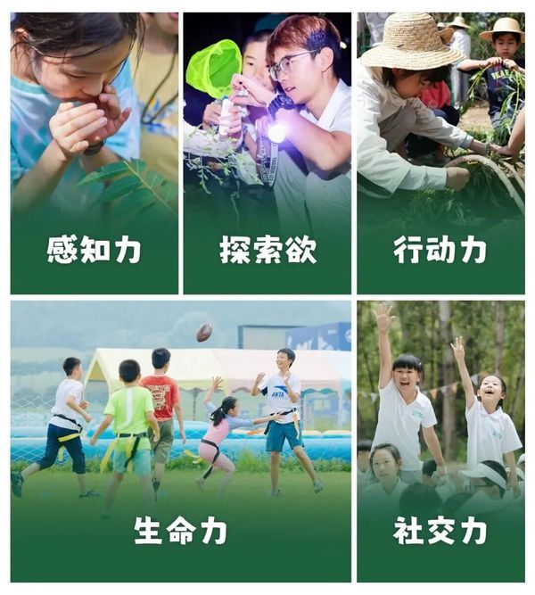 UYoung青少年营地 | 酷玩少年ClubMed奇遇营 | 5天4晚解锁童年野趣