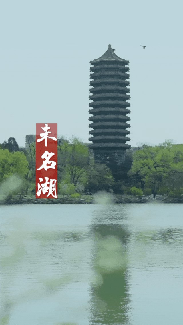 北京大学历史研修班第17期:以史为鉴,洞见时代变局