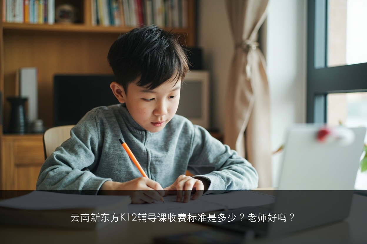 云南新东方K12辅导课收费标准是多少？老师好吗？