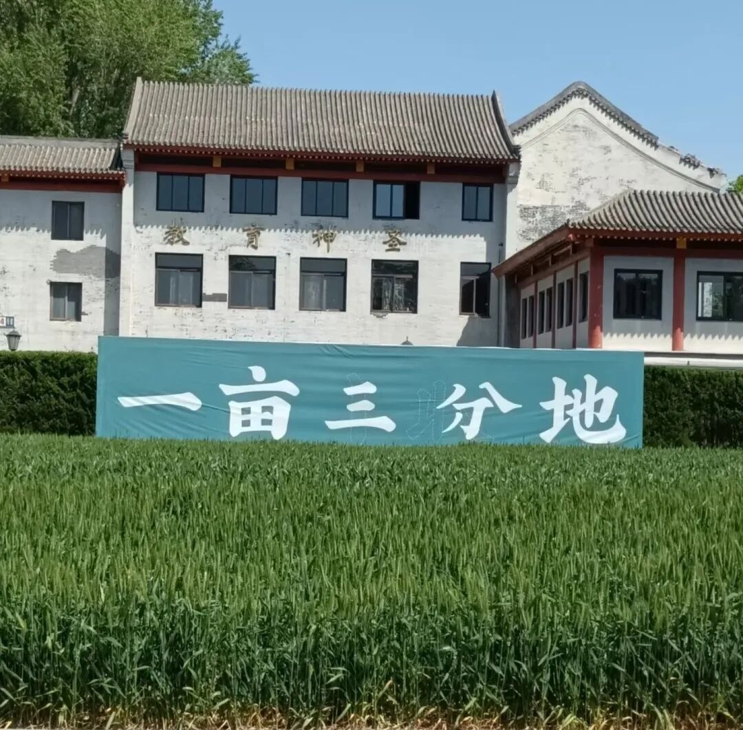澄澜集贤馆庆成宫成童礼:9-15岁亲子青春成长礼活动介绍
