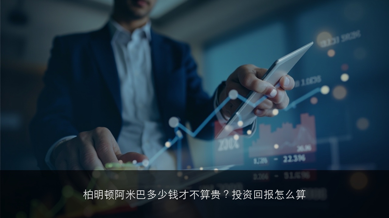 柏明顿阿米巴多少钱才不算贵？投资回报怎么算
