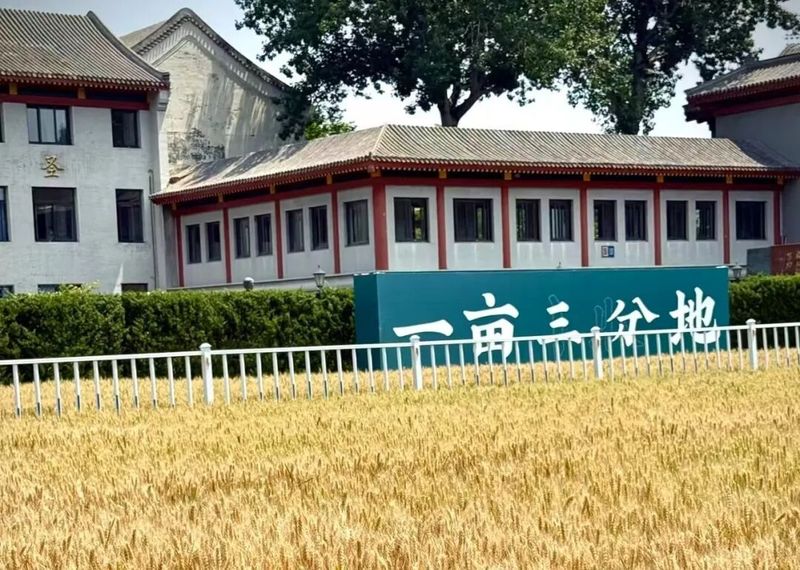 澄澜咨询 | 嘉禾育稚·庆成启新 | 开笔启学礼 | 庆成宫