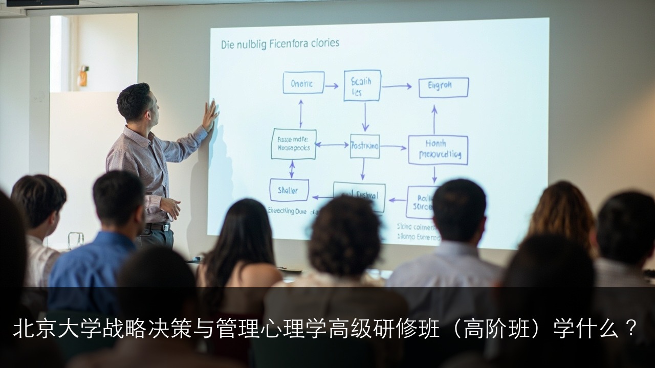 北京大学战略决策与管理心理学高级研修班(高阶班)学什么?