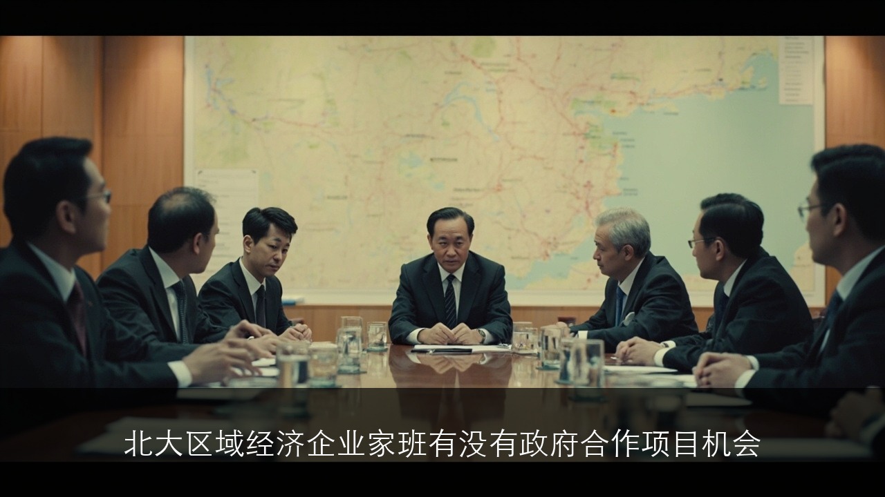 北大区域经济企业家班有没有和政府合作的项目机会
