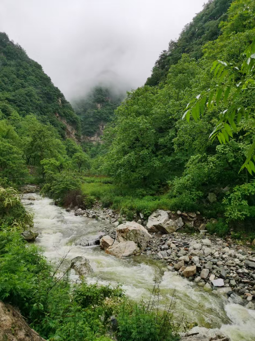 西安终南山道场七天清水服气辟谷营