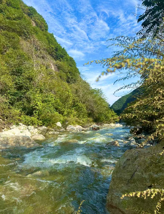 西安终南山道场七天清水服气辟谷营