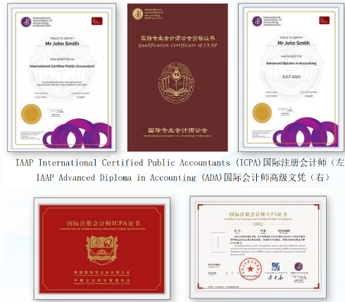 ICPA-国际注册会计师