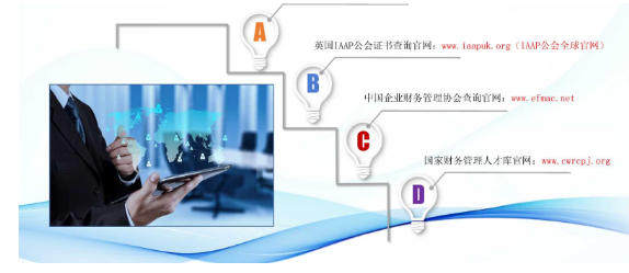 ICPA-国际注册会计师