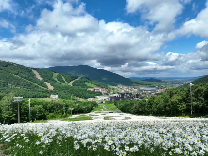 告别手机吃鸡,来北大湖解锁山野生存硬技能